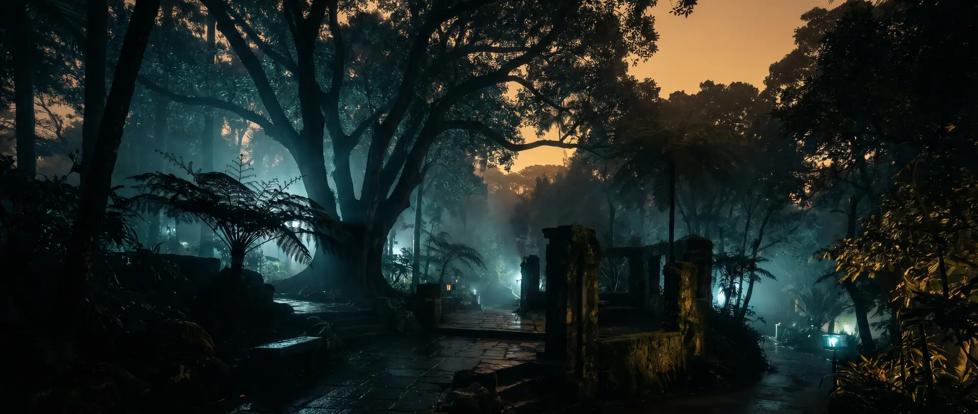 大象传媒植物生态学教父视频